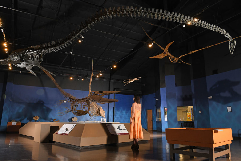 royal gorge dinosaur museum